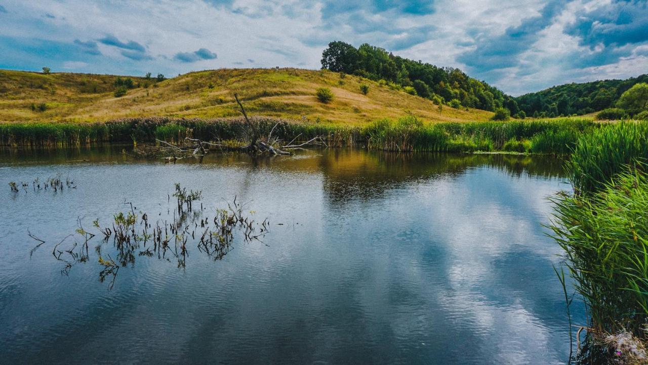 БАЗА ОТДЫХА ЛЕВАДА MEDVENKA (KURSK) (Россия) | NOCHI